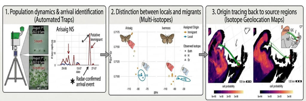 An Integrated, Automated Workflow for Pest Monitoring and Isotope Geolocation. See caption below for more details.