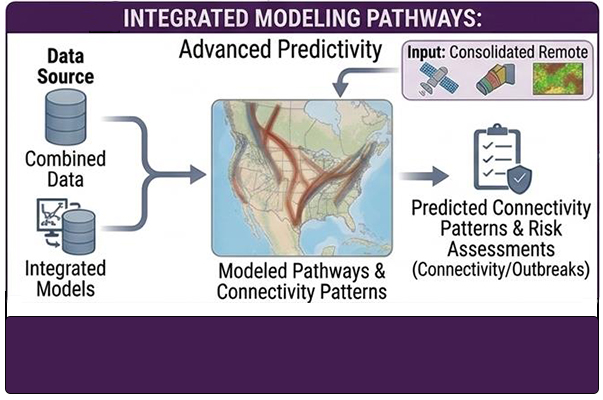 Insect migration and conservation research, integrated modeling pathways.