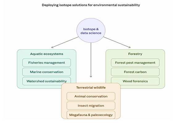 Graph showing deploying isotope soluctions for environmental sustainability. Circle with arrows to blocks has title of Isotope and data sciende. Aquatic ecosystems block has fisheries management, marine conservation, watershed sustainability. Forestry block has Forest Pest Management, forest carbon, and wood forensics. Terrestrial wildlife block has animal conservation, insect migration and meagfauna and paleoecology. 