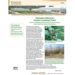Commercial Greenhouse and Nursery Production: Alternative Options for Invasive Landscape Plants
