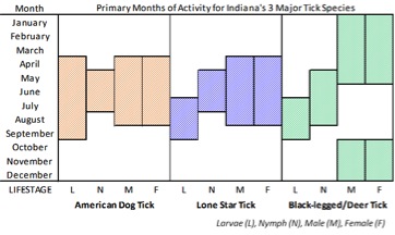 Primary Months of Activity for Indiana's Three Major Tick Species