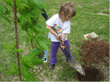 Child Planting Tree