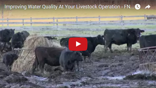 Improving Water Quality At Your Livestock Operation video