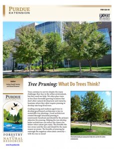 FNR-534-W Tree Pruning publication