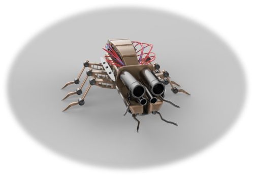 Robotic Insect