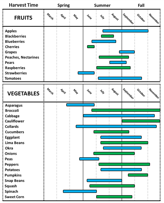 Harvest Calendar