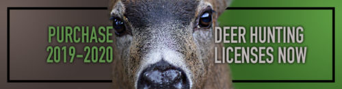 Purchase 2019-2020 Deer Hunting Licenses Now
