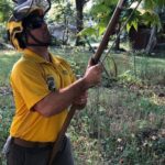 Certified Arborists can provide the best care for your trees.
