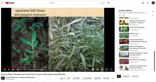 Purdue Extension-Forestry and Natural Resources YouTube Channel, Invasive Species Playlist.