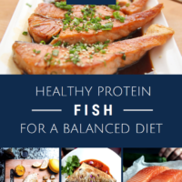 Fish-Healthy Protein For a Balanced Diet Handout
