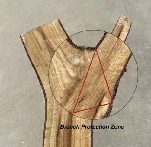 Branch Protection Zone Image 