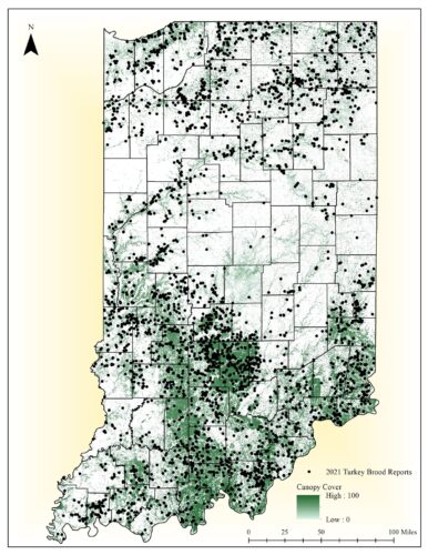 Turkey brood map, observational data, IN DNR, Division of Fish and Wildlife