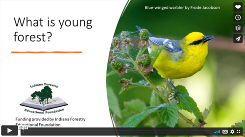 Young Forest Video series, U.S. Forest Service.