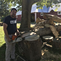 Image of Daniel Warner sawing trees