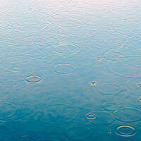 Raindrops on lake.