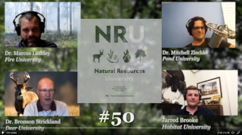 NRU Natural Resources University, screenshot of the speakers from podcast.