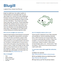 Bluegill Fish Fact Sheet Cover