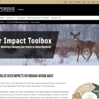 deer impact front page