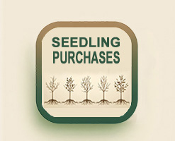 Seedling purchases of hardwood seedlings, Oak Resources.