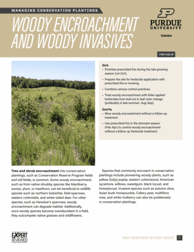First page of the Woody Encroachment and Woody Invasives publications