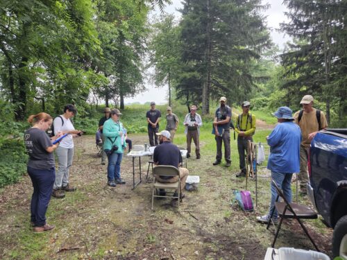 Group of people in the forest learning from an instructor