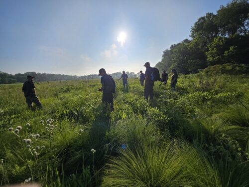People walking through the Granville Sand Barrens People walking through the Granville Sand Barrens and Roy Whistler Wildlife Area