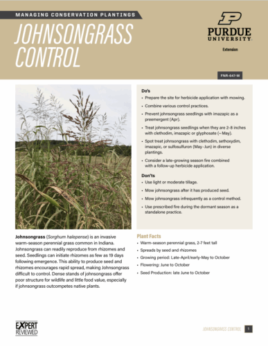 First page of Johnsongrass Control publication