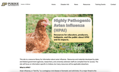 Screenshot of Avian Influenza webpage on Purdue Extension