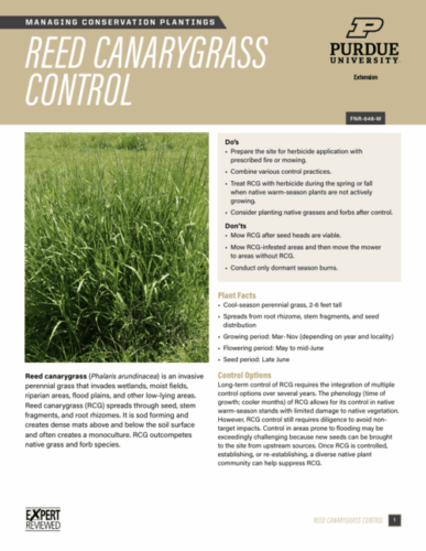 First page of the Reed Canarygrass Control publication