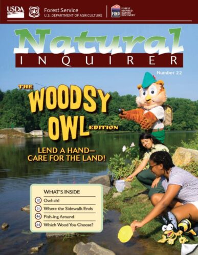 Cover of The Woodsy Owl Edition – Vol. 1 No. 22