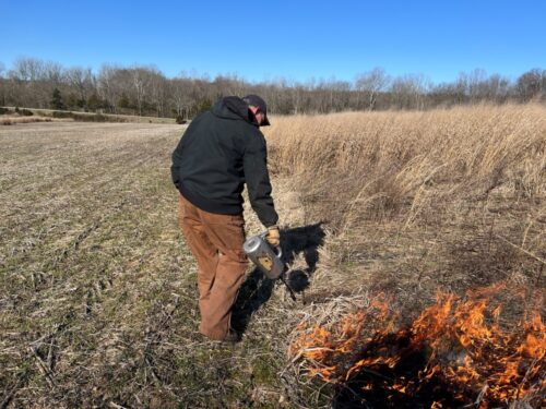 A man using a drip torch in an open land.