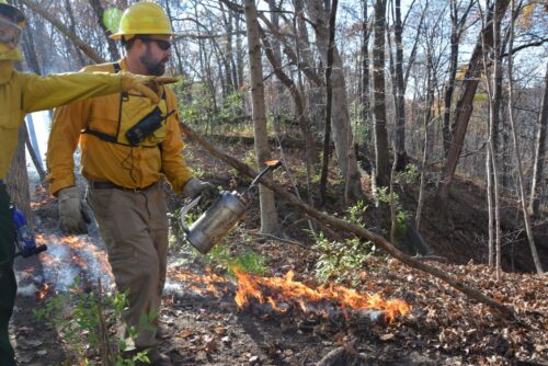A man in protective equipment with a drip torch.