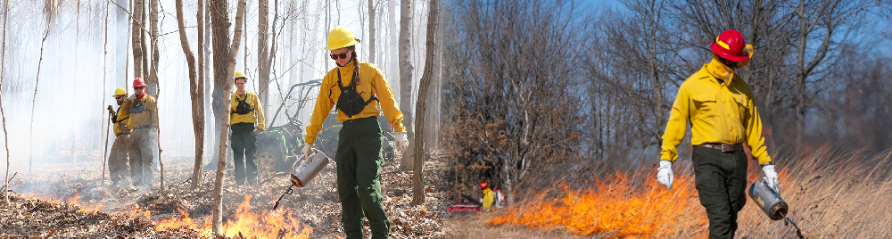 Students in the woodlands with a drip canister.