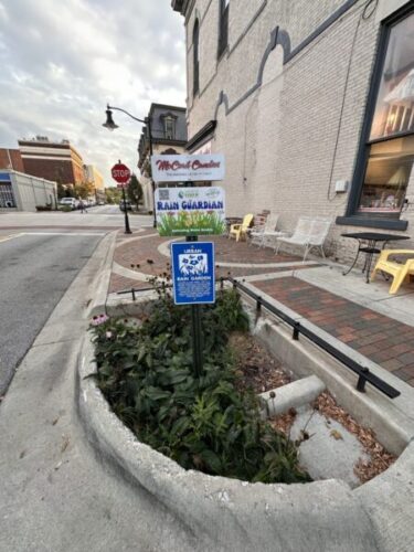 Figure 1. A rain garden in downtown Lafayette captures runoff from nearby roads and sidewalks, slowing and filtering water before it enters the stormwater system. Credit: Amy Thompson, Purdue University.