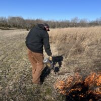 A person using a drip torch to ignite a small prescribed burn in a grassy field.