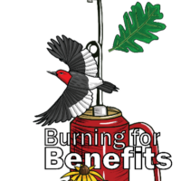 A red drop torch standing vertically in the center of colorful illustration with a monarch butterfly at the top, a red-headed woodpecker and leaf flowing in the middle, and sunflowers at the bottom growing from the ground.