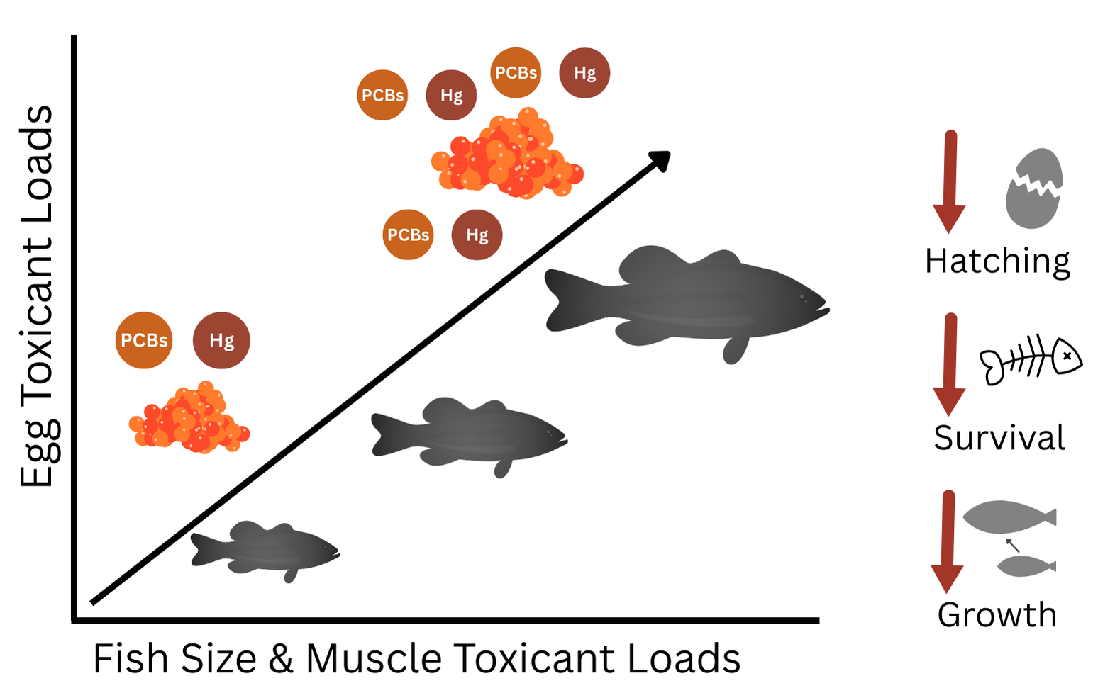 Sosa et al. 2026 graphical abstract