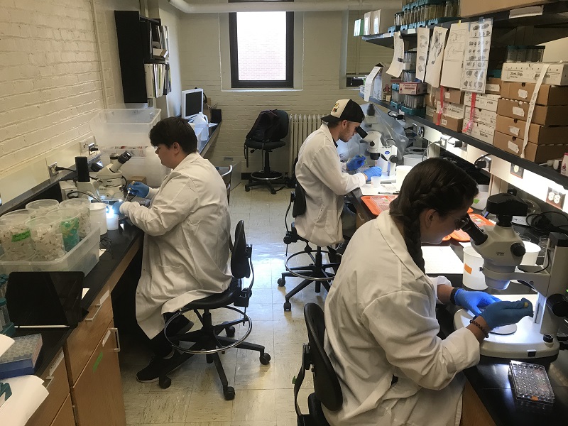 People working in a lab