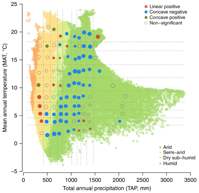 Forest richness-productivity relationships