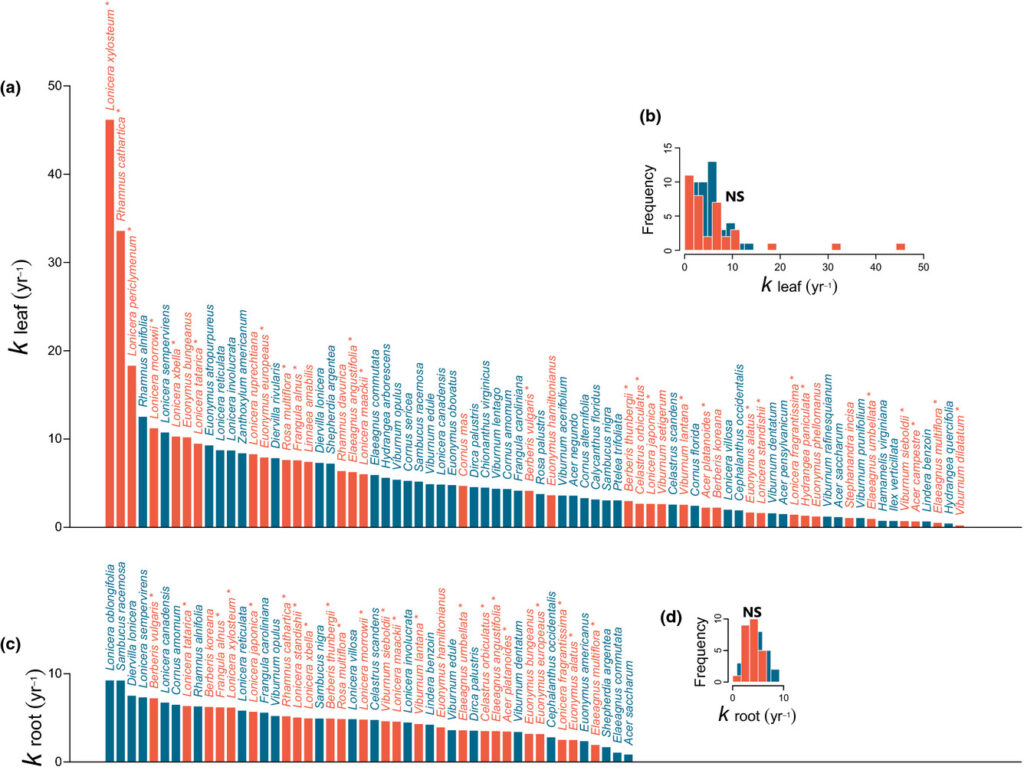 Leaf and root decomposition rates for native and nonnative species