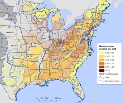 A map depicting the mean invasive species per plot of land in Eastern America. The yellow signifies 0.00 to 0.50 invasive species per plot while dark red represents over 4.00 mean invasive species per plot.