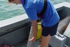 Team member sampling