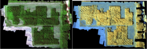 LiDAR and RGB Image of Martell Forest