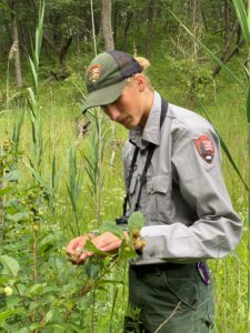 Thad Swart doing field work for the National Park Service
