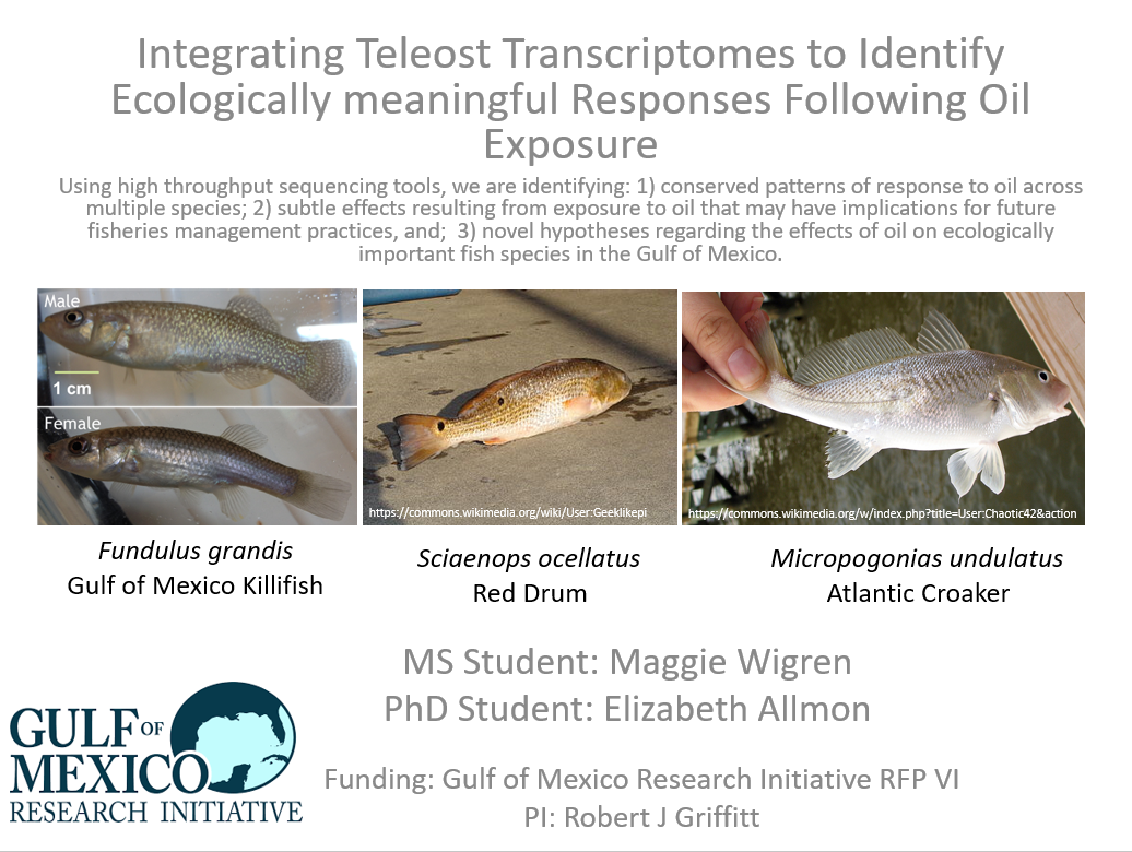 Integrating Teleost Transcriptomes to Identify Ecologically meaningful Responses Following Oil Exposure