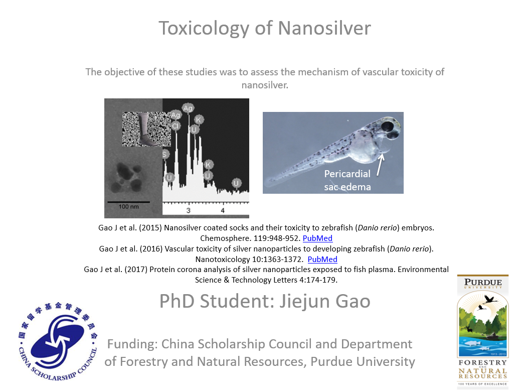 Toxicology of Nanosilver