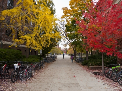 Fall Colors on Campus