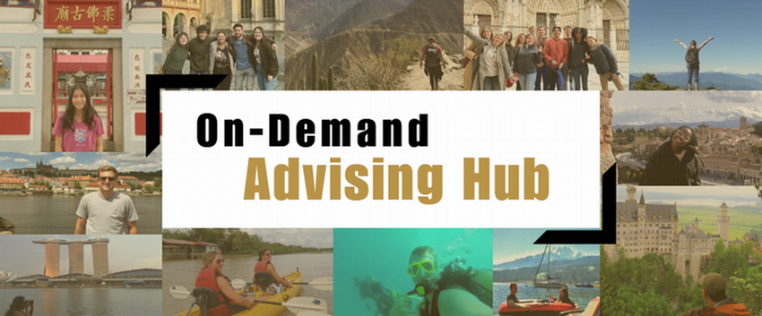 On Demand Advising Hub Title Photo