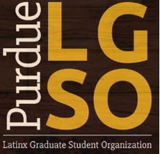 LGSO logo