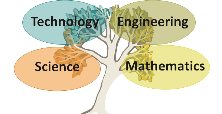 Image of tree representing technology, engineering, science and mathematics.